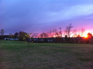 Sunset at Vicktory Farm